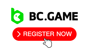 Exploring Payment Options at BC.Game IN -967235325