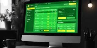 Ultimate Guide to BetWinner Betting