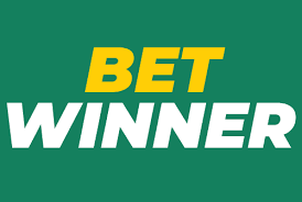 Exploring the BetWinner Gambling Platform A Comprehensive Guide 508045035